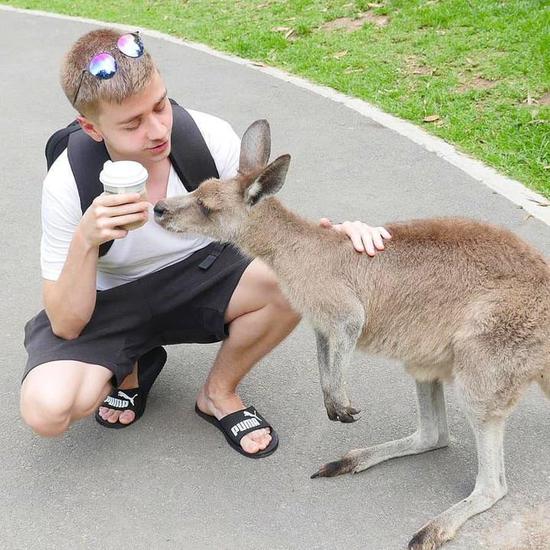 下一代Xbox Alpha版本特性揭晓，玩家期待新体验